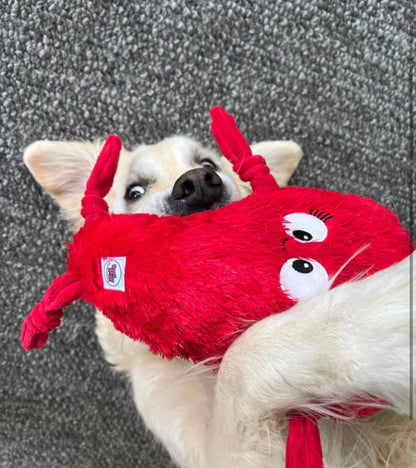 Spicy Chilli ™ Eco-Friendly Plush Dog Toy | Tug